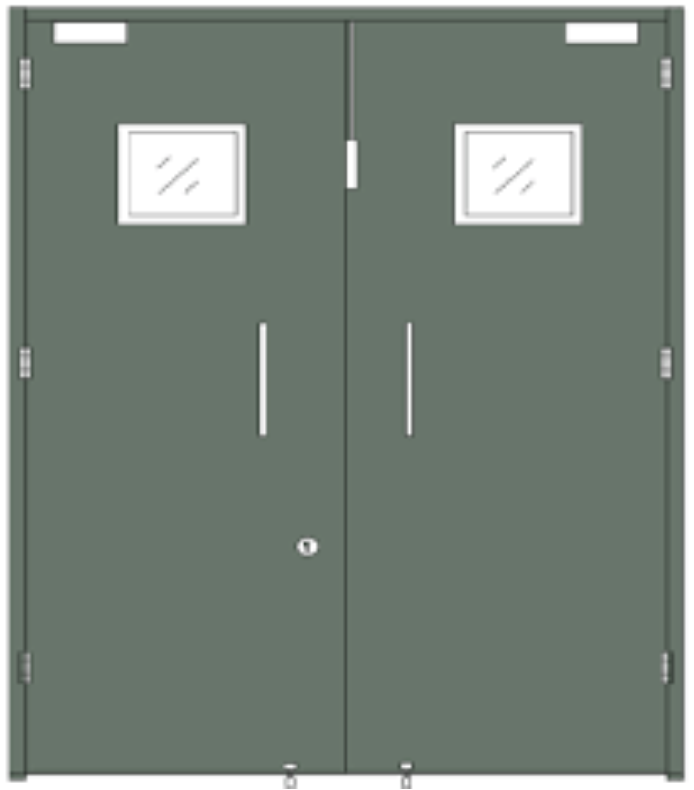 HMPS door